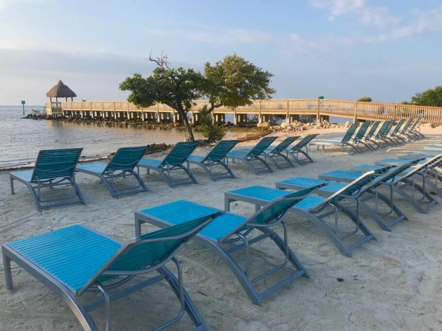 Welcome To The Pelican Lodge ! Tavernier Zewnętrze zdjęcie